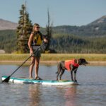 Ruffwear-Svømmevest-Red-Sumac-(1)
