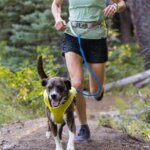 Ruffwear-Trail-Runner-Løbebælte-Lichen-Green