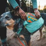 Ruffwear-dagrygsæk-river-rock-green-(1)