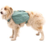 Ruffwear-dagrygsæk-river-rock-green-(3)