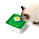 catit-flower-mini-foutain-2