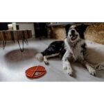 lick-mat-duo-cirkel-grå-hund