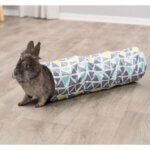 sunny-hygge-tunnel-3