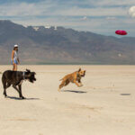 Ruffwear-Camp-Flyer-Red-Sumac-(1)