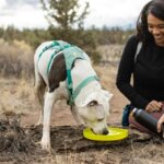 Ruffwear-Camp-Flyer-Red-Sumac-(4)