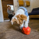 Ruffwear Gnawt A Rock Red Sumac (2)