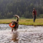 Ruffwear-Hydro-plane-Campfire-Orange-(2)