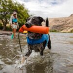 Ruffwear-Lunker-Campfire-Orange-(1)