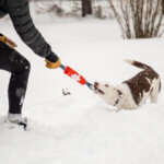 Ruffwear Pacific loop sockeye red (2)