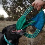 Ruffwear Pacific ring Legetøj Aurora Teal (2)
