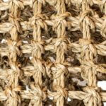 back-zoo-nature-seagrass-hideout-(1)