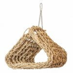 back-zoo-nature-seagrass-hideout