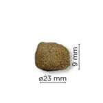 Arion-Original-Maintenance-Gigant1
