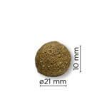 Arion-Original-Maintenance-Large1