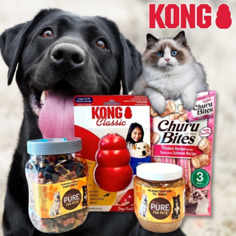 DIY: KONG Original