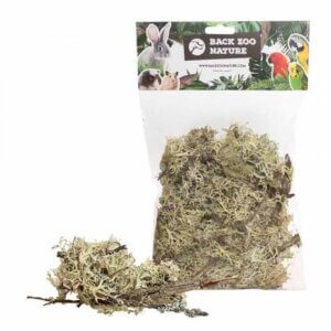 Back Zoo Nature Naturgren og mos