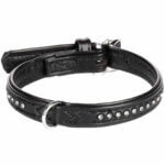 Flamingo hundehalsbånd sort med sten (1) Flamingo hundehalsbånd sort med sten (1)