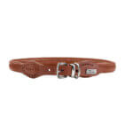 Hunter-Canadian-Up-cognac