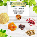 Lafebre-Nutri-berries-Sunny-Orchard