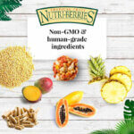 Nutriberries