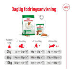 Royal-canin-mini-adult1