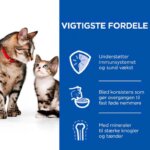 Hills-Mousse-Kitten-and-Mother-85g1