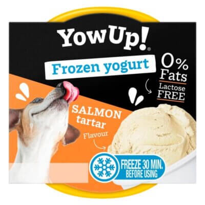 Hundeis-Frozen-Yogurt-Salmon-Tartar