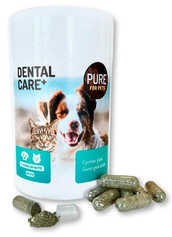 PURE Dental Care+