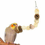 Back-Zoo-Nature-Chew-Tower1