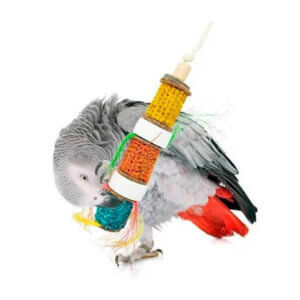 Back Zoo Nature Corn Tower