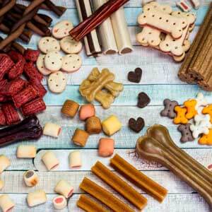 Hunde Snacks