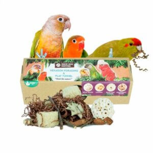 Fouragering og lege tunnel Hexagon