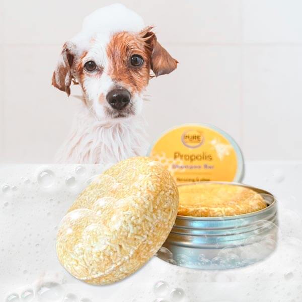 Shampoo Bar til hunde