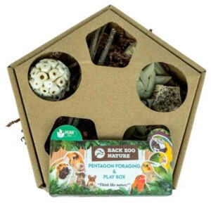 Fouragering og lege boks Pentagon