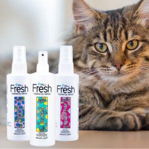 Duft og parfume til katte