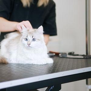 Trimmeborde og inventar