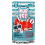 Hundeis-Frugt-is-Vandmelon