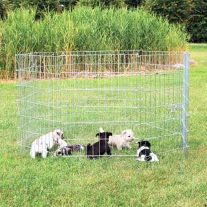 Hvalpegårde og hundegitter