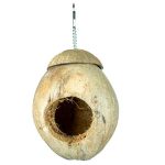 Back-Zoo-Coconut-Villa