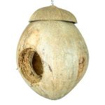 Back-Zoo-Coconut-Villa1