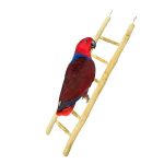 Back-Zoo-Java-Stige-60cm1
