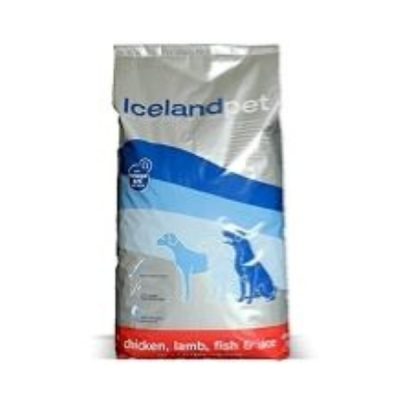 Iceland Dog Adult