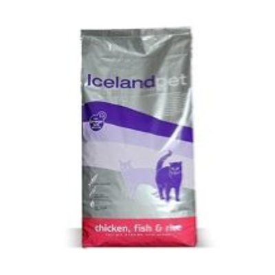 Iceland Dog Adult light and senrior (1)