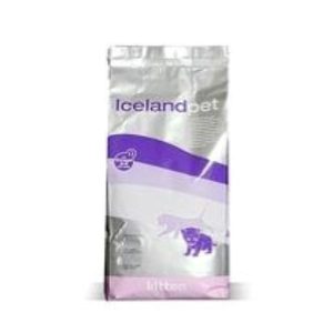 Iceland Cat Kitten 3 kg